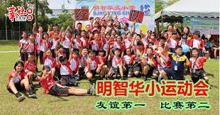 广东男篮外线稳定性提升