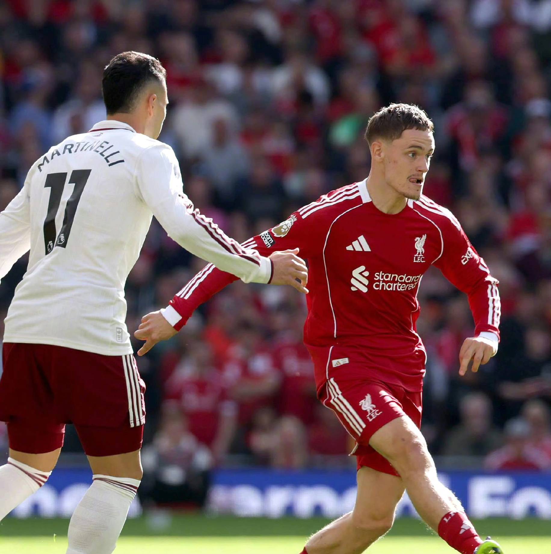 未来的期待 未来的期待